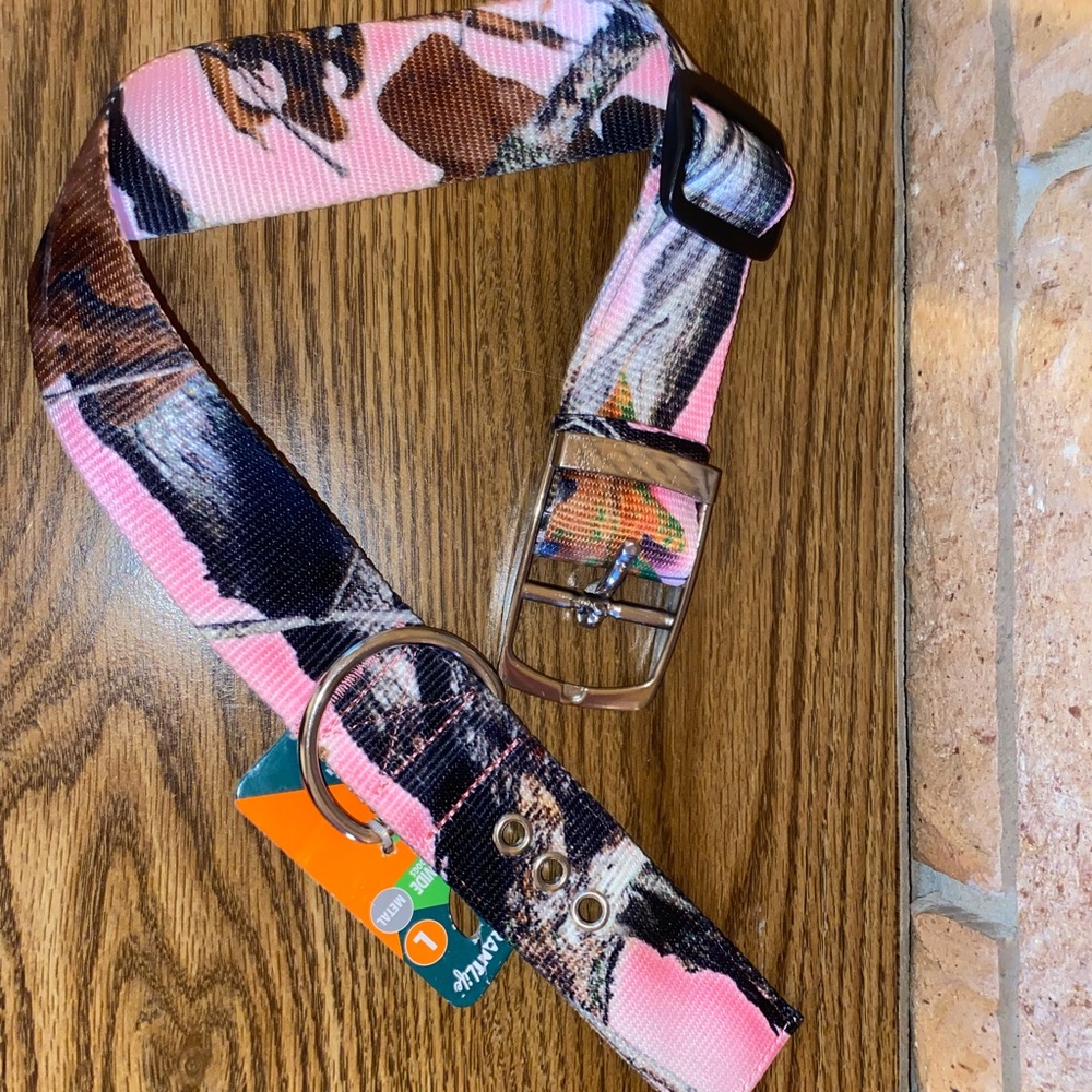 Collar & Leash Large Dog Size